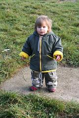 Vrána Loket 2006 014